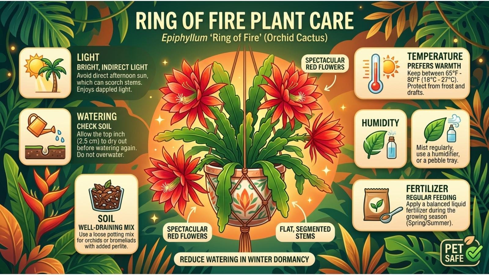 ring-of-fire-plant-care